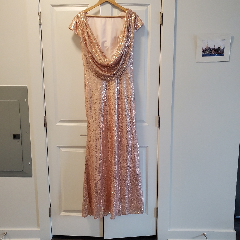 Formal Floorlength Sequin Blush Dress